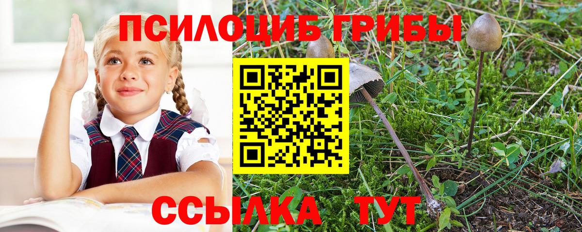 Галлюциногенные грибы мицелий Владимир