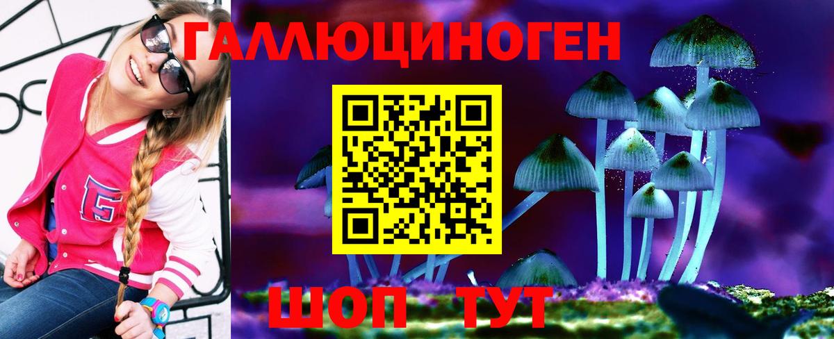 Галлюциногенные грибы Psilocybe  Псилоцибиновые грибы ЛСД  Владимир  Вход с VPN 